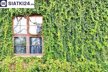 Siatki Opoczno - Siatka z dużym oczkiem - wsparcie dla roślin pnących na altance, domu i garażu dla terenów Opoczna